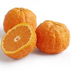 Mandarine  Gold Nugget  (Disponible en Mai ou Juin 2023)