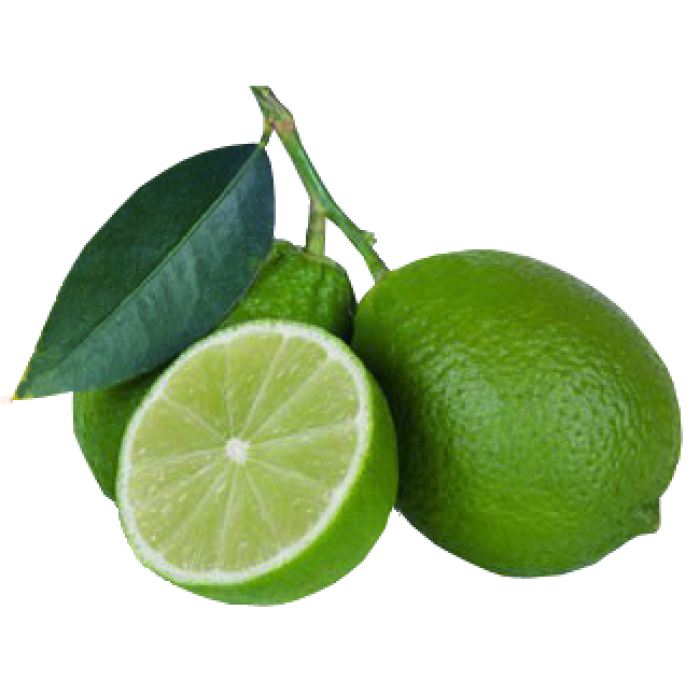 Persian Lime 