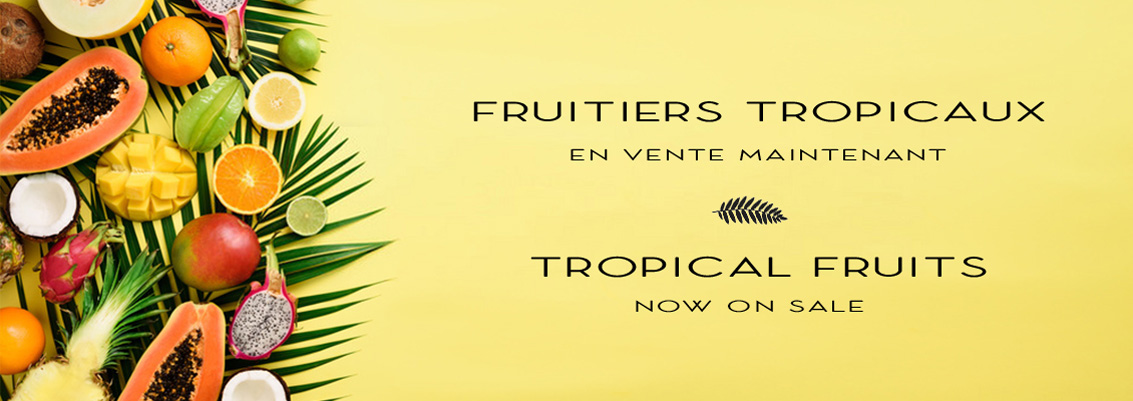 Fruitiers tropicaux