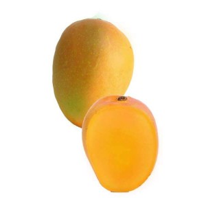 Manguier  'Orange essence' (Disponible en Mai ou Juin 2023)