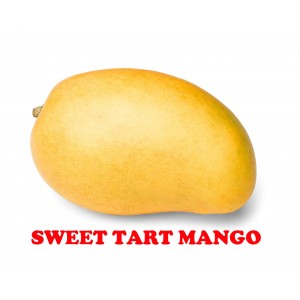 Manguier 'Sweet Tart' (Disponible en Mai ou Juin 2022)