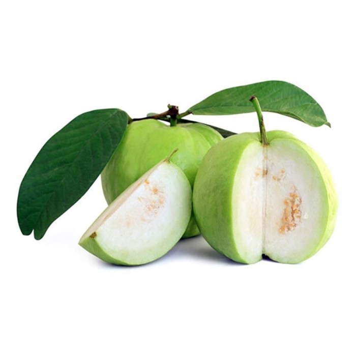 Guava 'Vietnamese kilo' (Available in May or June 2024)