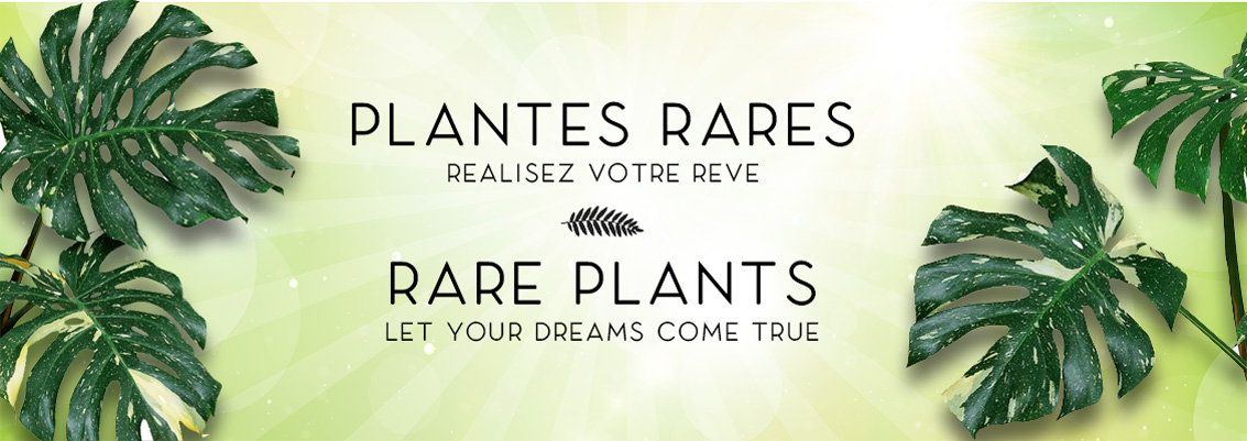 Plantes rares