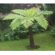 Australian tree fern (Cyathea cooperi) (Disponible en Mai ou Juin 2023) Plantes Tropicales, Plantes Patios image