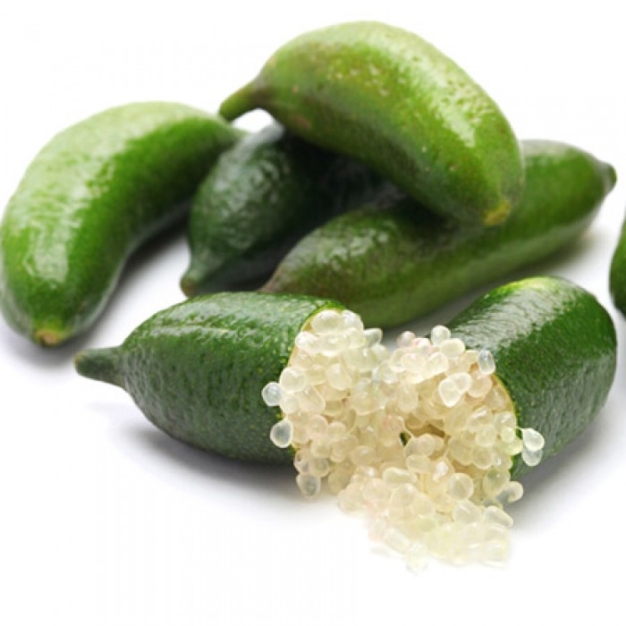 Finger Lime (citron Caviar)   (Disponible en Mai ou Juin 2022)