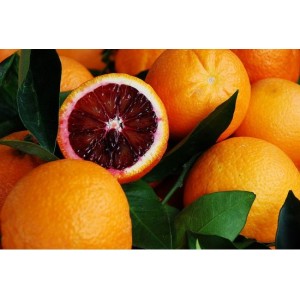 Orange sanguine Sanguinelli Standard  (Disponible en Mai ou Juin 2023)