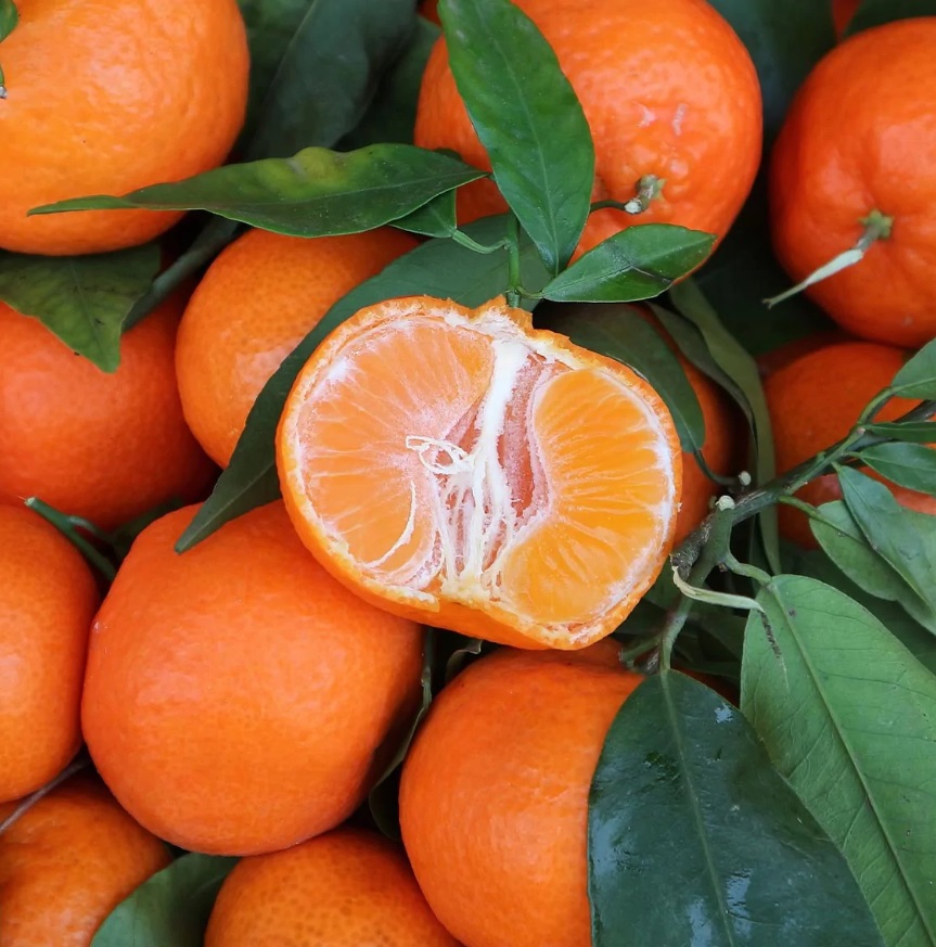 Mandarin or clementine? Canada is divided when it comes to big boxes of  tiny holiday citrus